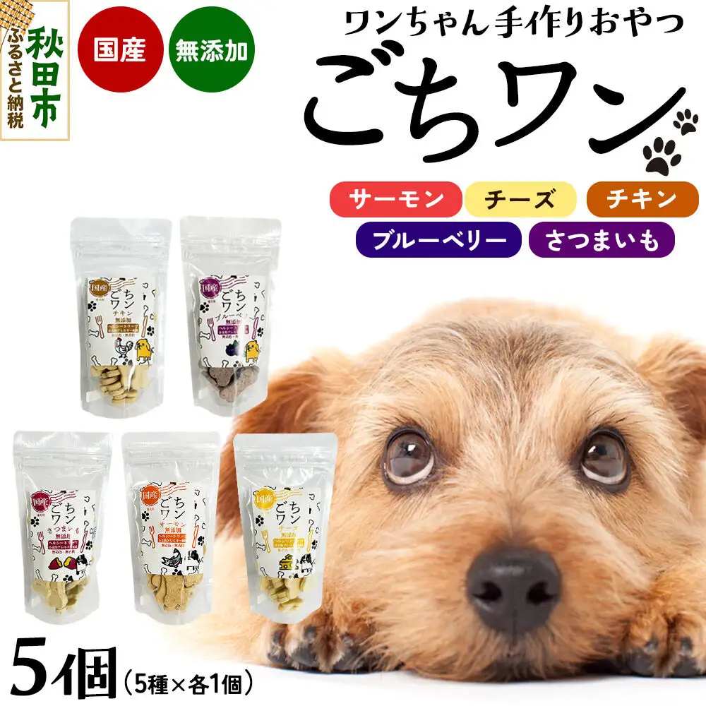 わんちゃん手づくりおやつ「ごちワン」トリーツ5種セット（サーモン／チーズ／ブルーベリー／チキン／さつまいも）国産ヘルシートリーツ ドッグフード 無着色・無香料