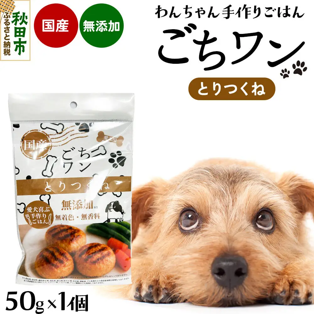 わんちゃん手づくりごはん「ごちワン」とりつくね（レトルト）国産 ドッグフード 無着色・無香料