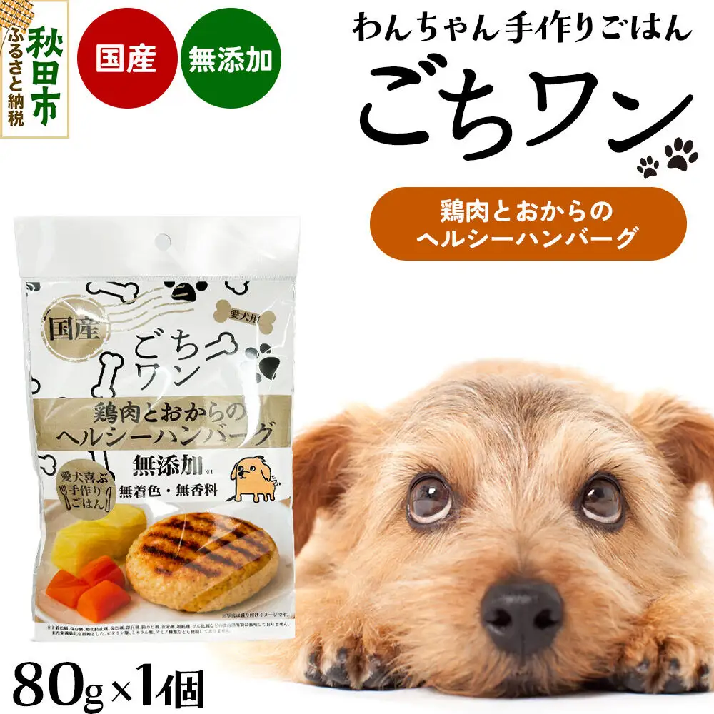 わんちゃん手づくりごはん「ごちワン」鶏肉とおからのヘルシーハンバーグ（レトルト）国産 ドッグフード 無着色・無香料
