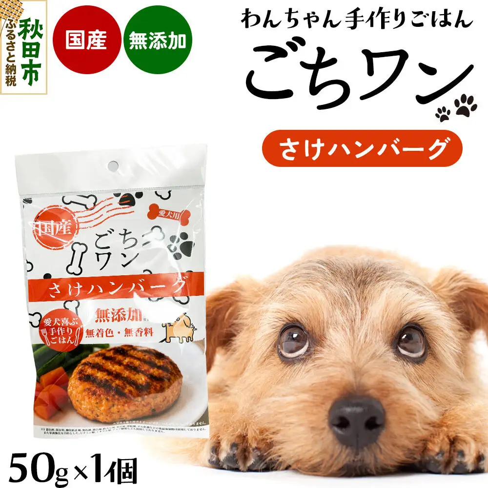 わんちゃん手づくりごはん「ごちワン」さけハンバーグ（レトルト）国産 ドッグフード 無着色・無香料