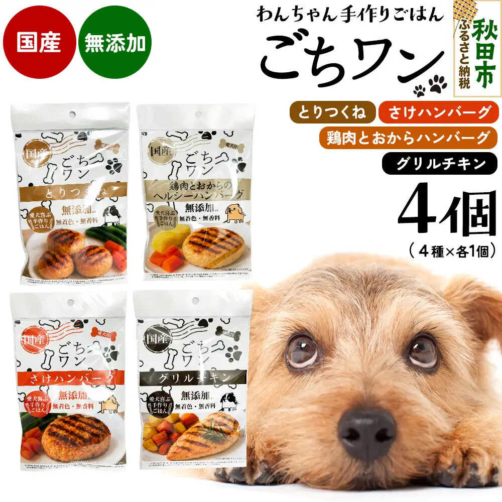 わんちゃん手づくりごはん「ごちワン」レトルト4種セット（とりつくね／鶏肉とおからのヘルシーハンバーグ／さけハンバーグ／グリルチキン）ヘルシー 国産 ドッグフード 無着色・無香料