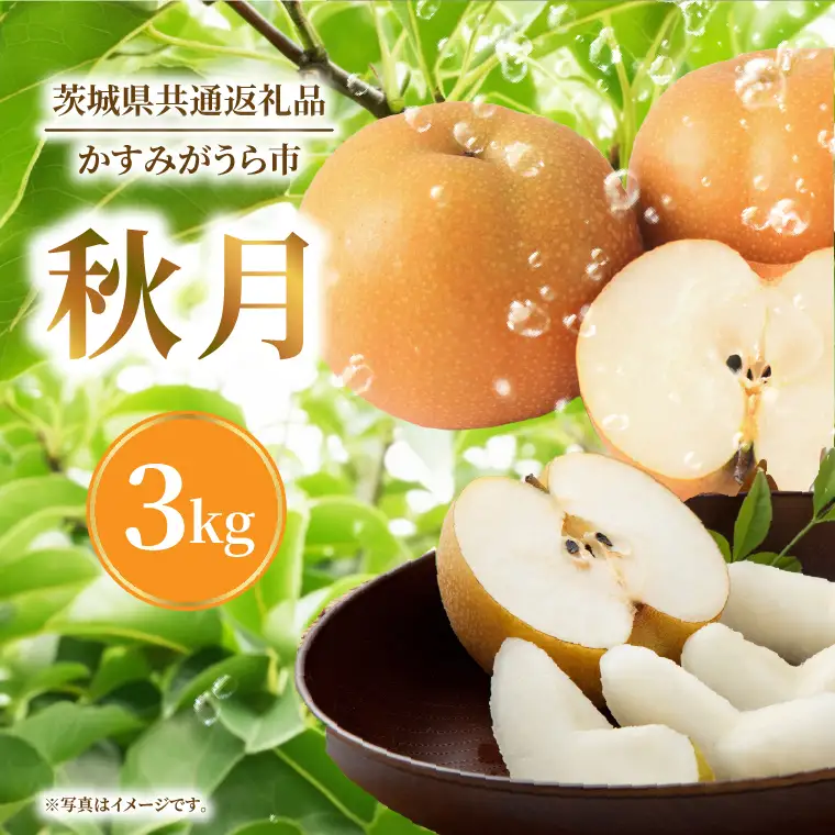 【9月中旬より発送】【数量限定】採れたて 梨 秋月 3kg（茨城県共通返礼品／かすみがうら市）（FW-14）