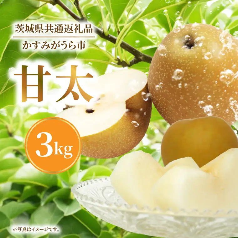 【9月中旬より発送】【数量限定】採れたて 梨 甘太 3kg（茨城県共通返礼品／かすみがうら市）（FW-15）