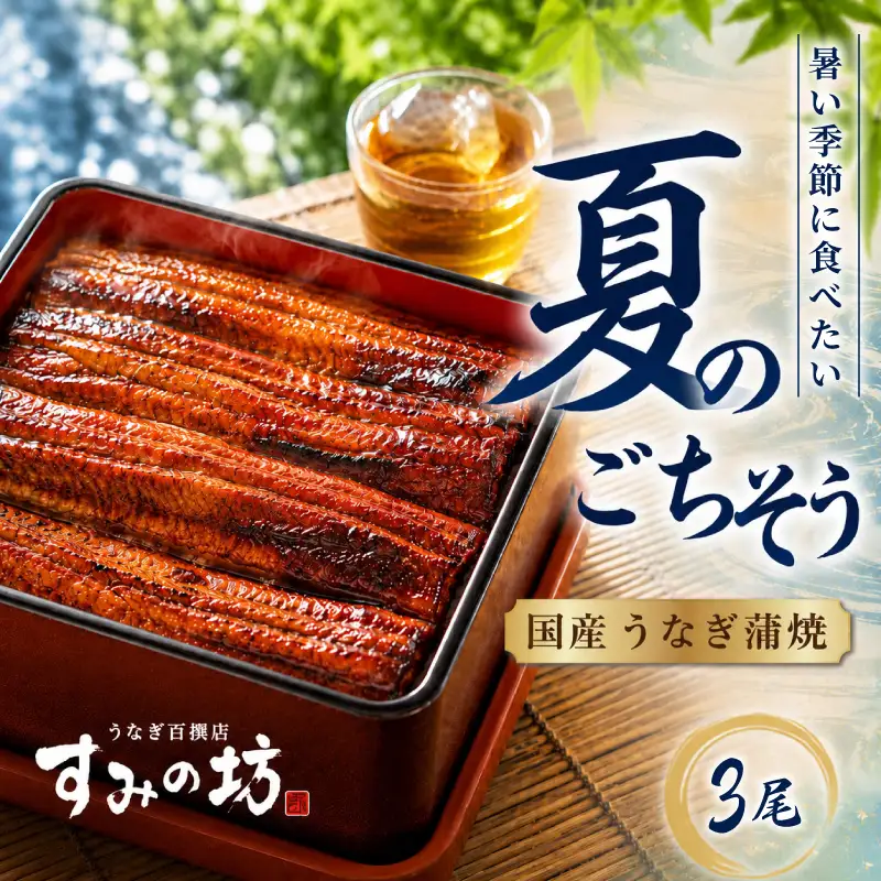 【夏季限定】 夏のごちそう 国産うなぎの蒲焼き 3尾