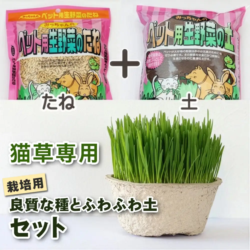 [猫草専用] 栽培用 良質な種とふわふわ土のセット [1206]