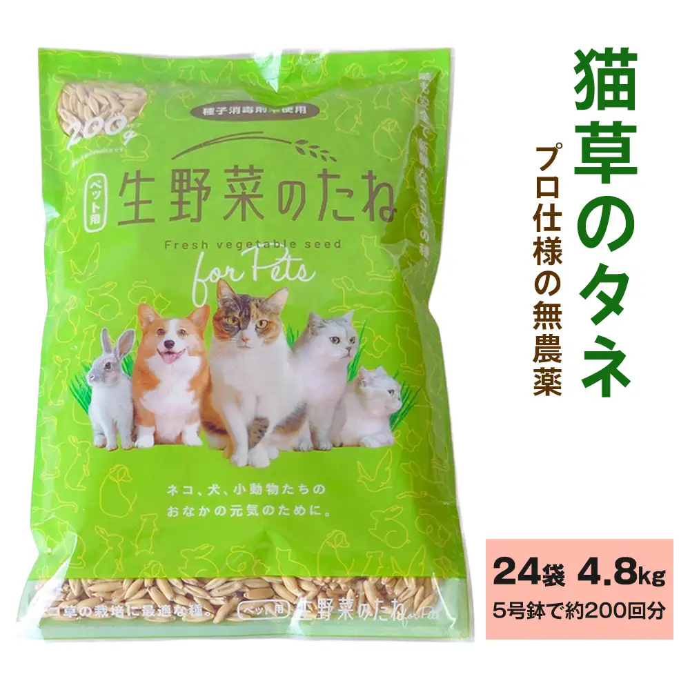 プロ仕様の 無農薬 猫草のタネ 24袋 計4.8kg (5号鉢で約200回分) [1215]
