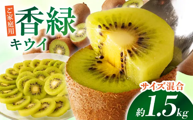 【先行受付】ご家庭用香緑キウイ　約1.5kg【香川県共通返礼品】 | キウイ フルーツ 果物 香川県 香緑 デザート サラダ ヨーグルト トッピング 国産 季節限定 青果物 旬 おすすめ |_mk006-133