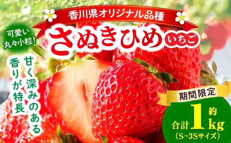 【先行予約】【期間限定】可愛い丸々小粒さぬきひめいちご　約1kg | スイーツ いちご ストロベリー さぬきひめ 苺 冷蔵 フルーツ 旬 果物 青果 青果物 お裾分け ギフト 香川県 デザート 青果物 先行予約 季節限定 旬 おすすめ 三木町 |_mk006-139