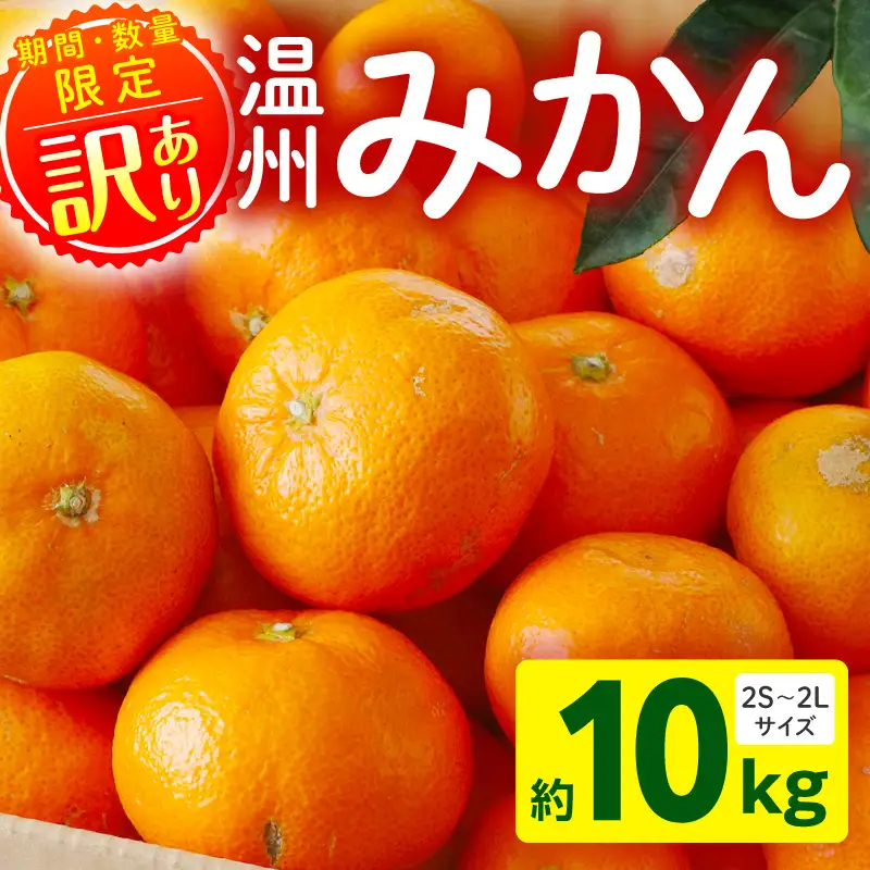 果物 温州みかん 果物[訳あり 10kg 2026年～2027年発送先行予約]