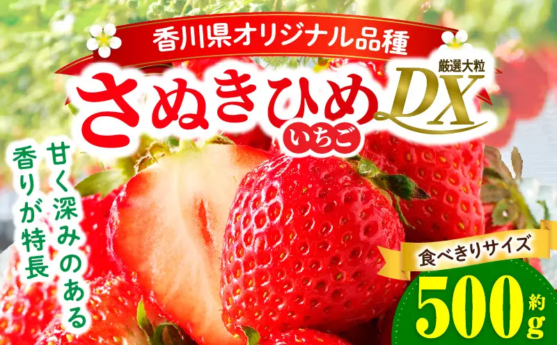 【先行予約】【食べきりサイズ】さぬきひめいちごDXパック　約500g | スイーツ いちご ストロベリー さぬきひめ 苺 冷蔵 フルーツ 旬 果物 青果 青果物 お裾分け ギフト 香川県 デザート 青果物 先行予約 季節限定 旬 おすすめ 三木町 |_mk006-141