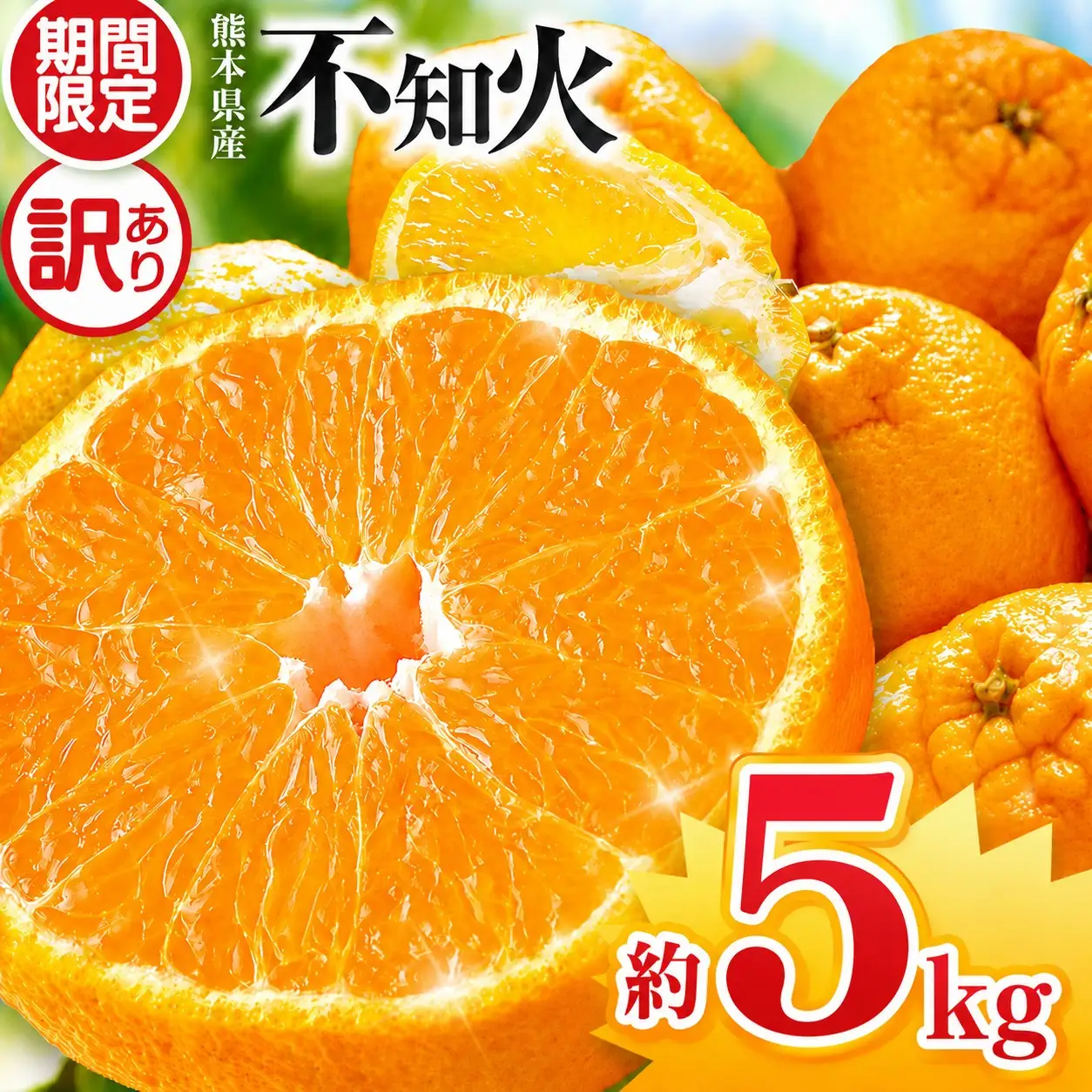 【 先行予約 】【 訳あり 】ご家庭用 不知火 約 5kg 熊本県産 和水町