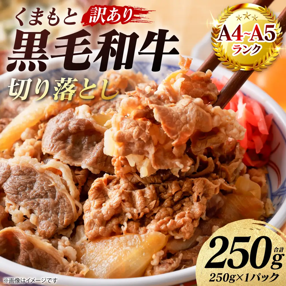牛肉 【訳あり】 くまもと黒毛和牛 切り落とし 250g （250g×1パック） A4～A5ランク 牛肉
