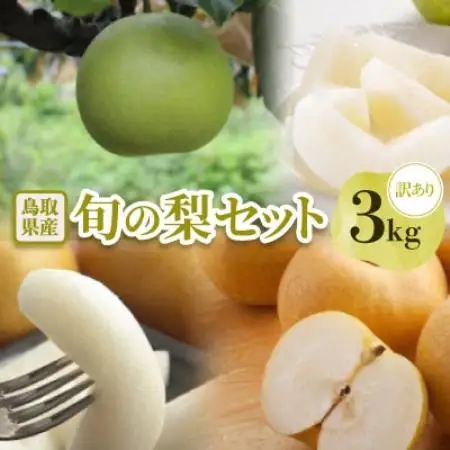 【訳あり】鳥取県産旬の梨 3kg【配送不可地域：離島・北海道・沖縄県】【1733758】