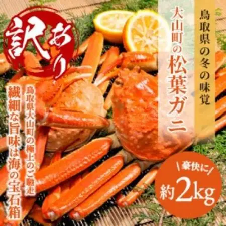 【11月中旬以降順次発送】[冷凍]訳あり松葉ガニ約2kg詰め合わせ　 OM-13-1【配送不可地域：離島】【1745616】