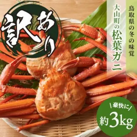 【11月中旬以降順次発送】[冷凍]訳あり松葉ガニ約3kg詰め合わせ　OM-14-1【配送不可地域：離島】【1745685】