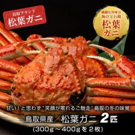 【11月中旬以降順次発送】ボイル松葉ガニ(300～400gを2枚)　OM-16-1【配送不可地域：離島・北海道・沖縄県・東北・信越、北陸】【1745692】