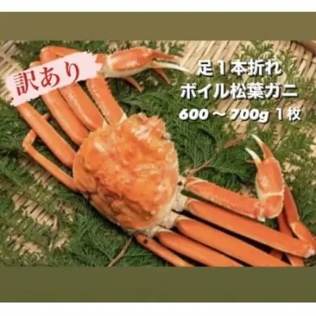 【11月中旬以降順次発送】訳あり足1本折れボイル松葉ガニ(600～700gを1枚)　OM-31【配送不可地域：離島・北海道・沖縄県・東北・信越、北陸】【1745696】