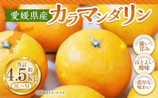 カラマンダリン 約4.5kg みかん ミカン くだもの 果物 フルーツ 柑橘 柑橘系 柑橘類 果実 果汁 果肉 国産 【 2027年4月上旬～5月上旬発送予定 】 ( 1128 )