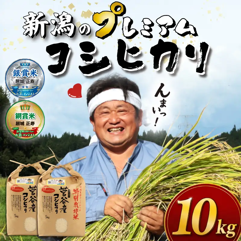 【新米予約】 プレミアム コシヒカリ 10kg（5kg×2袋） 令和8年産 特別栽培米 こしひかり プレミアムコシヒカリ 精米 白米 ご飯 おにぎり 弁当 新潟県産 新発田産 菅谷産 新潟 米 お米 こめ 居城農園 菅谷 新潟県 新発田市 D79_202610_01