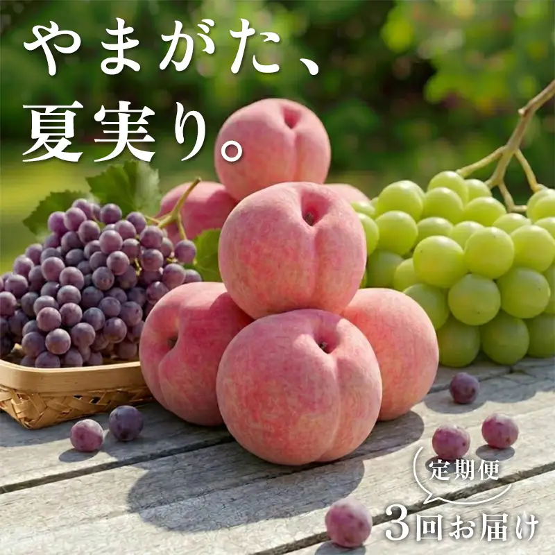 【2027年先行予約】 やまがた、夏実り。定期便 FSY-2928