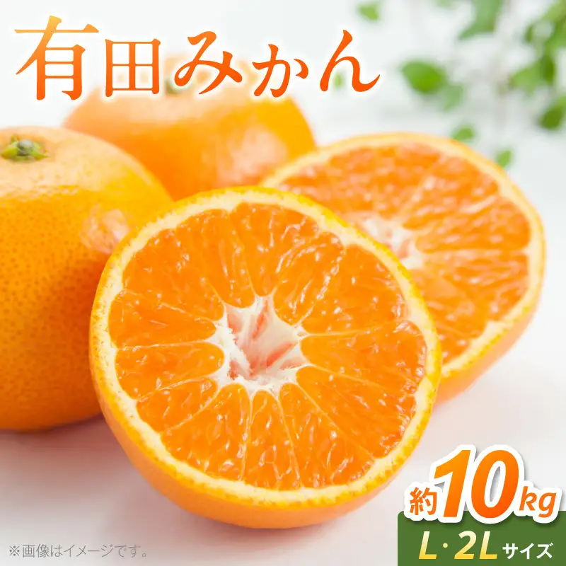 有田みかん　L,2Lサイズ混合　約10kg_BF6069
