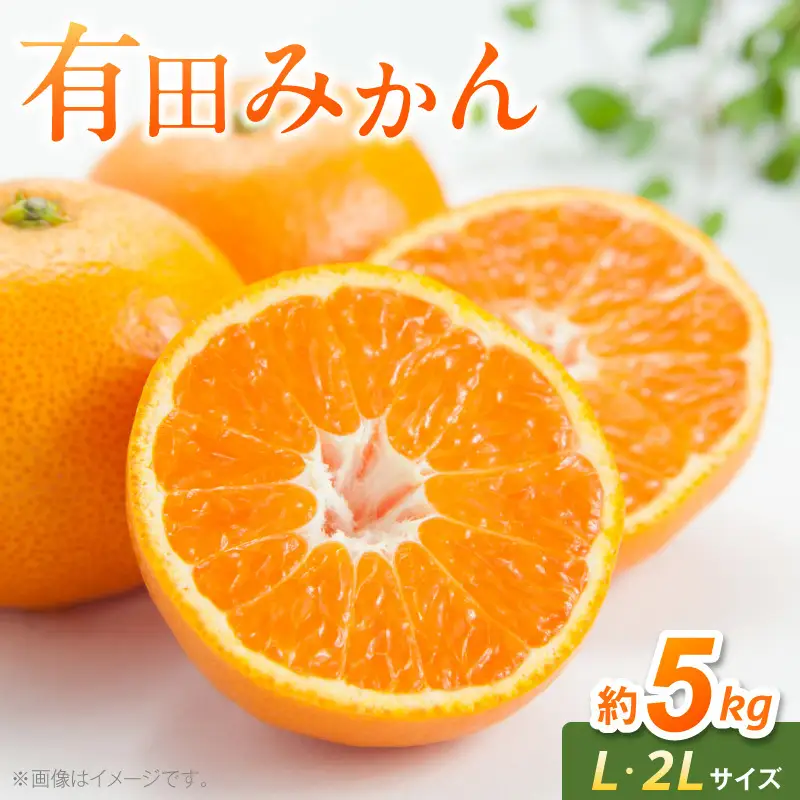 有田みかん　L,2Lサイズ混合　約5kg_BF6070