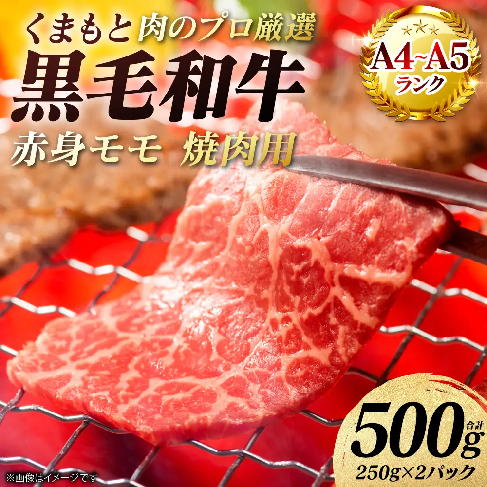 牛肉 くまもと黒毛和牛 赤身 モモ 焼肉用 500g （250g×2パック） A4～A5ランク 牛肉