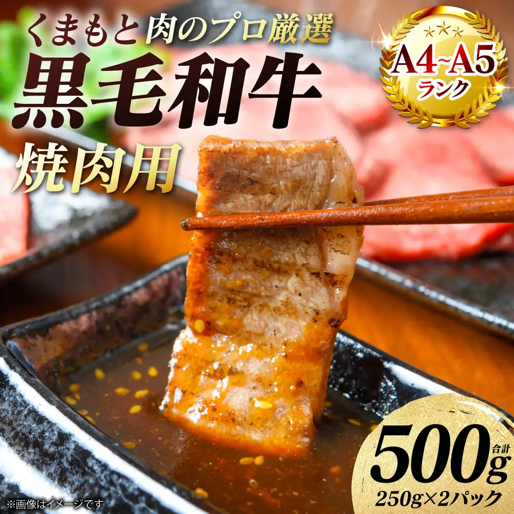 牛肉 くまもと黒毛和牛 焼肉用 500g （250g×2パック） A4～A5ランク 牛肉