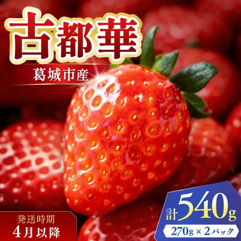 古都華 葛城市産古都華2パック 4月以降発送【ichi0001】