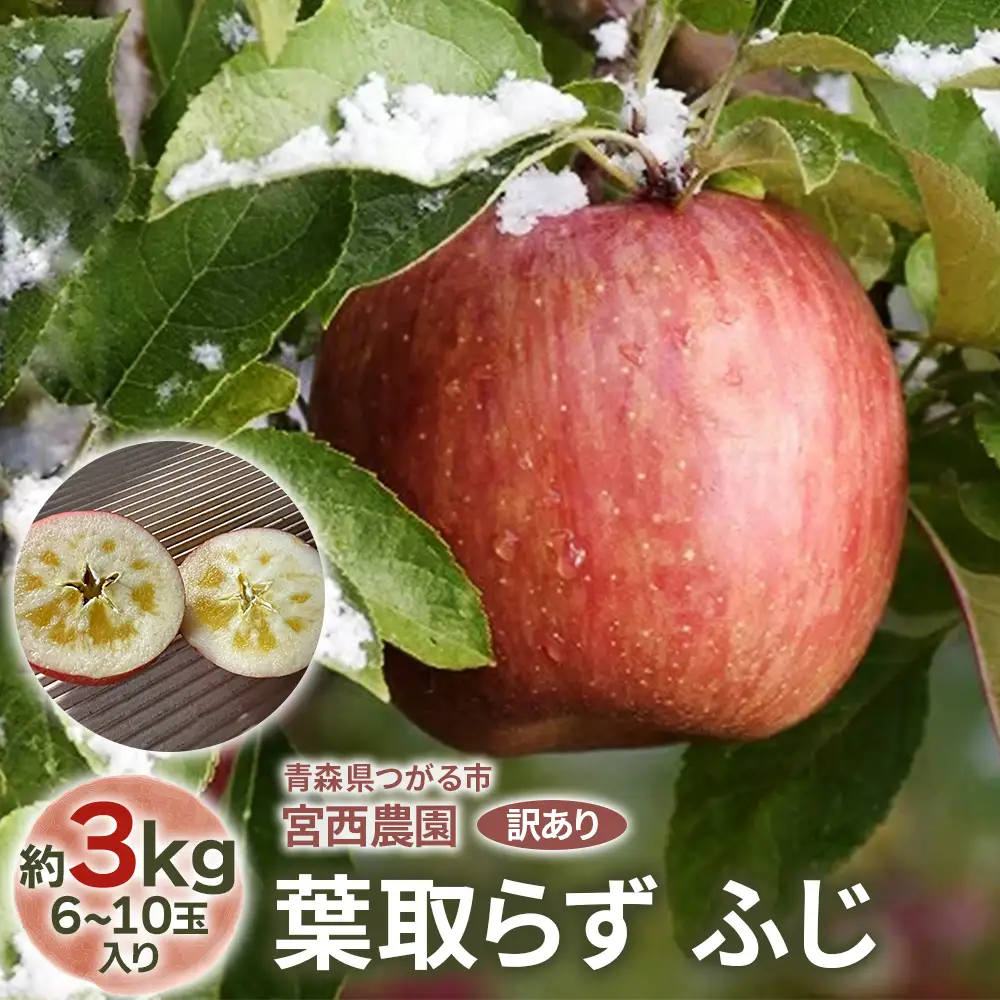 [訳あり] 葉取らず ふじ【約3kg 6から10玉入り】 [1057]