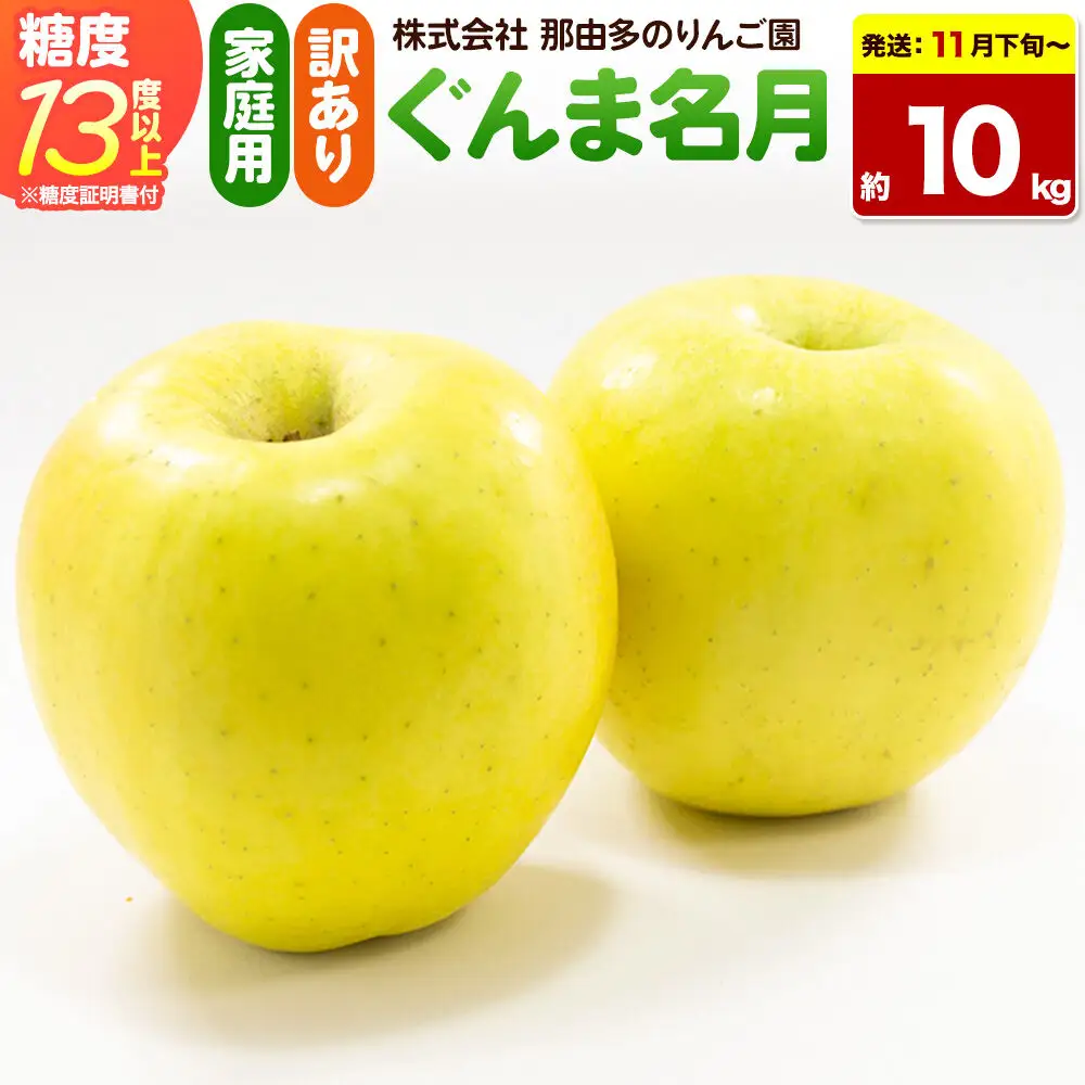 【26年11月下旬～発送】りんご ぐんま名月【訳あり】約10kg 糖度13度以上（糖度証明書付）【先行受付】家庭用 青森県 弘前市 果物 フルーツ 林檎 リンゴ くだもの 不揃い 規格外