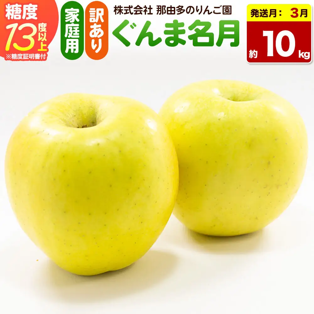 【27年3月クール便発送】りんご ぐんま名月【訳あり】約10kg 糖度13度以上（糖度証明書付）【先行受付】家庭用 青森県 弘前市 果物 フルーツ 林檎 リンゴ くだもの 不揃い 規格外