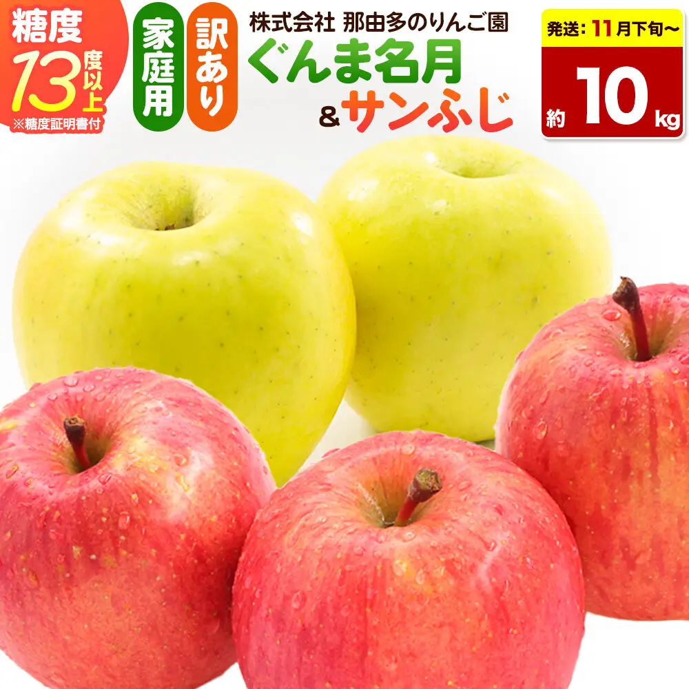 【26年11月下旬～発送】りんご ぐんま名月＆サンふじ【訳あり】約10kg 糖度13度以上（糖度証明書付）【先行受付】詰め合わせ 家庭用 青森県 弘前市 果物 フルーツ 林檎 リンゴ くだもの 不揃い 規格外