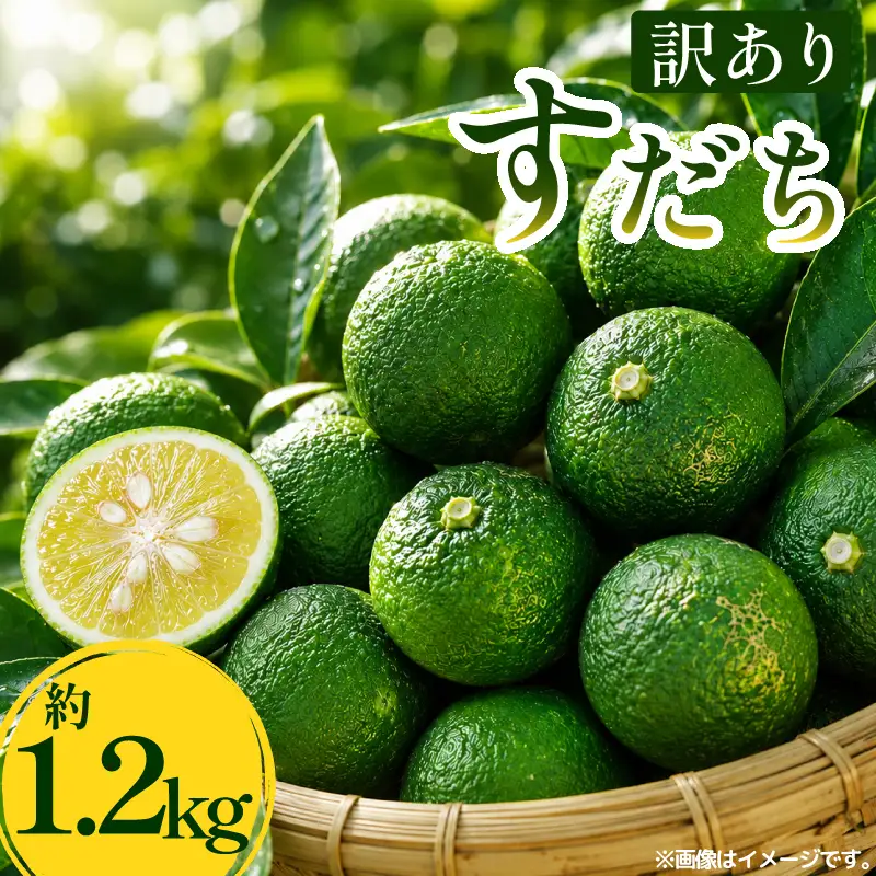 訳あり すだち 1.2kg スダチ 家庭用 【 すだち 】
