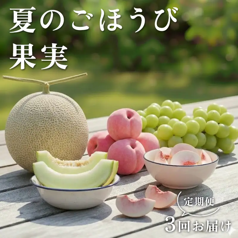 【2027年先行予約】 夏のごほうび果実定期便 FSY-2932