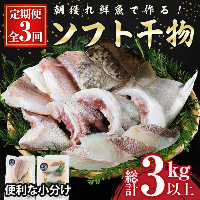 【定期便・全3回】朝獲れ鮮魚で作る！魚屋さんの 自家製 ソフト 干物(合計1kg以上・5～10枚×3回)アジ イワシ カマス イカ タイ ブリカマ セット 詰め合わせ ひもの 焼き魚 おかず お惣菜【YS-9】【株式会社安田】 [YS-9]