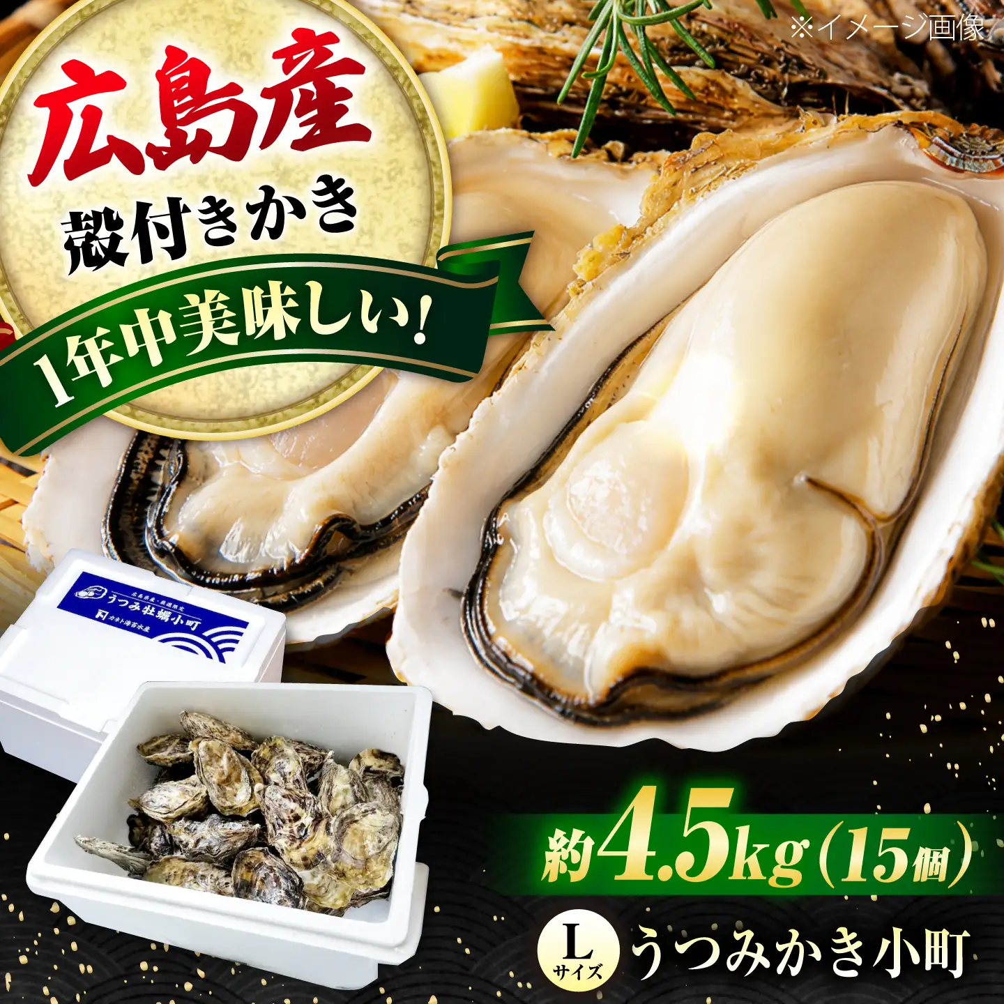 広島産牡蠣（Lサイズ15個）うつみかき小町（殻付き）[BAAQ011] 牡蠣