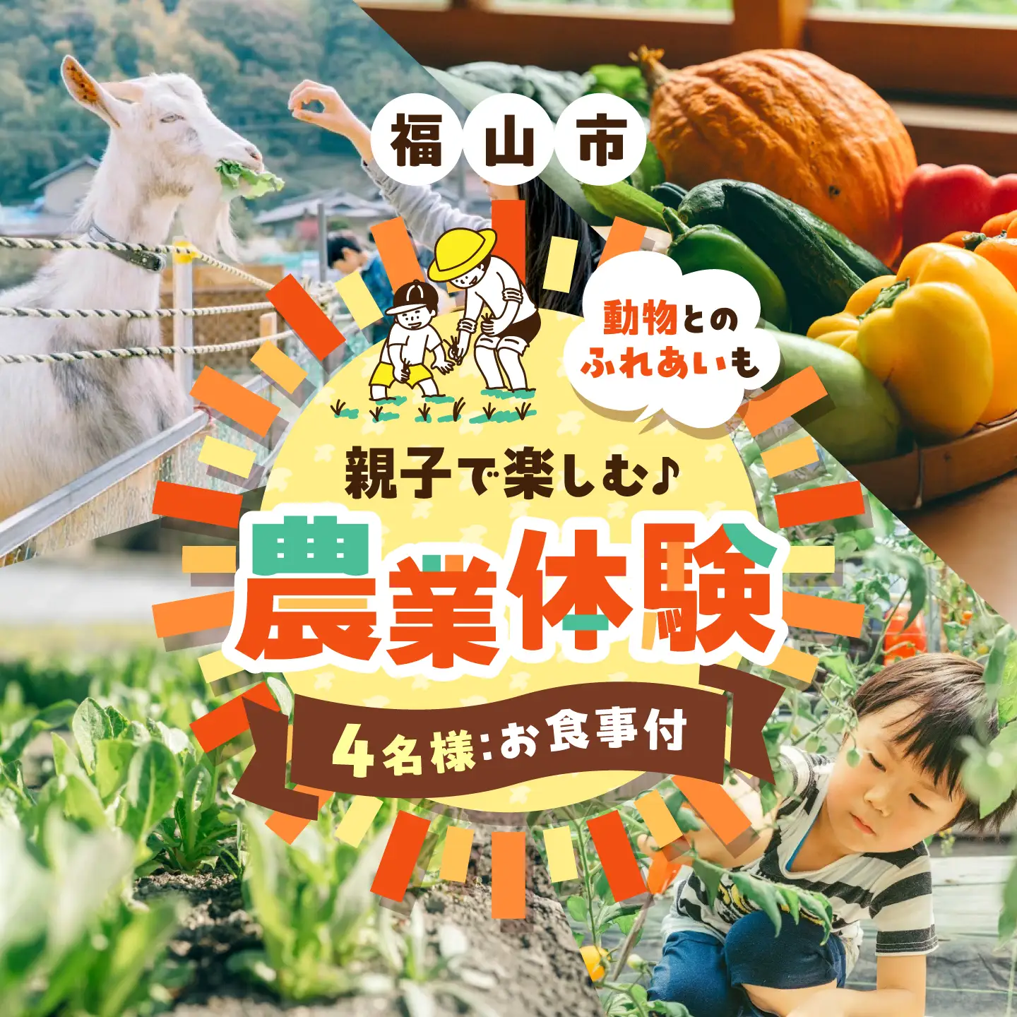 体験 HATTORI FIELD -ハットリフィールド- 親子で楽しむ農業体験4名様（お食事付）[BAHK004] 体験