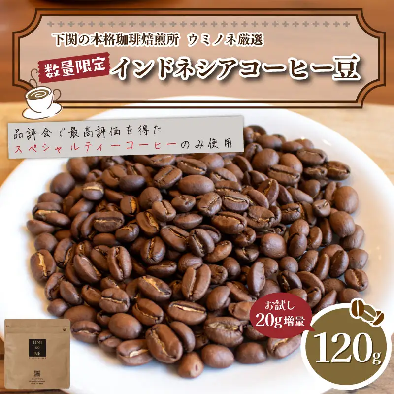 【豆】 訳あり コーヒー豆 お試し 120g インドネシア コーヒー EW
