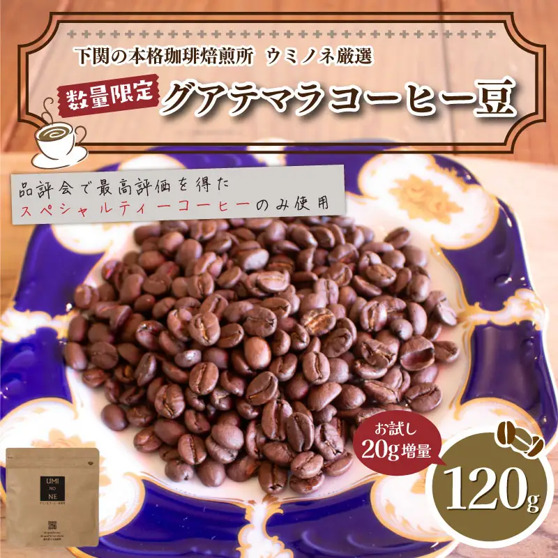 【豆】 訳あり コーヒー豆 お試し 120g グアテマラ コーヒー EW