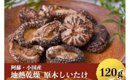 【地熱の里 坂本農園】地熱乾燥 原木椎茸 30g 4袋 計120g 阿蘇 熊本 小国郷 小国産 原木しいたけ 乾燥しいたけ 椎茸 ドライ わいた温泉郷 SDGｓ 常温保管 ご自宅用 贈り物 プレゼント