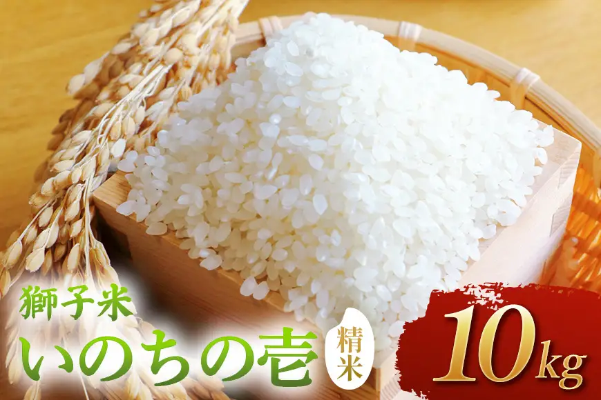 【令和8年産】獅子米　いのちの壱（精米）10kg　B02-098