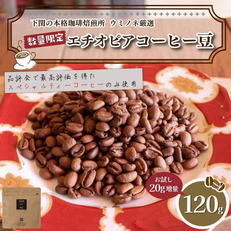 【豆】 訳あり コーヒー豆 お試し 120g エチオピア コーヒー EW