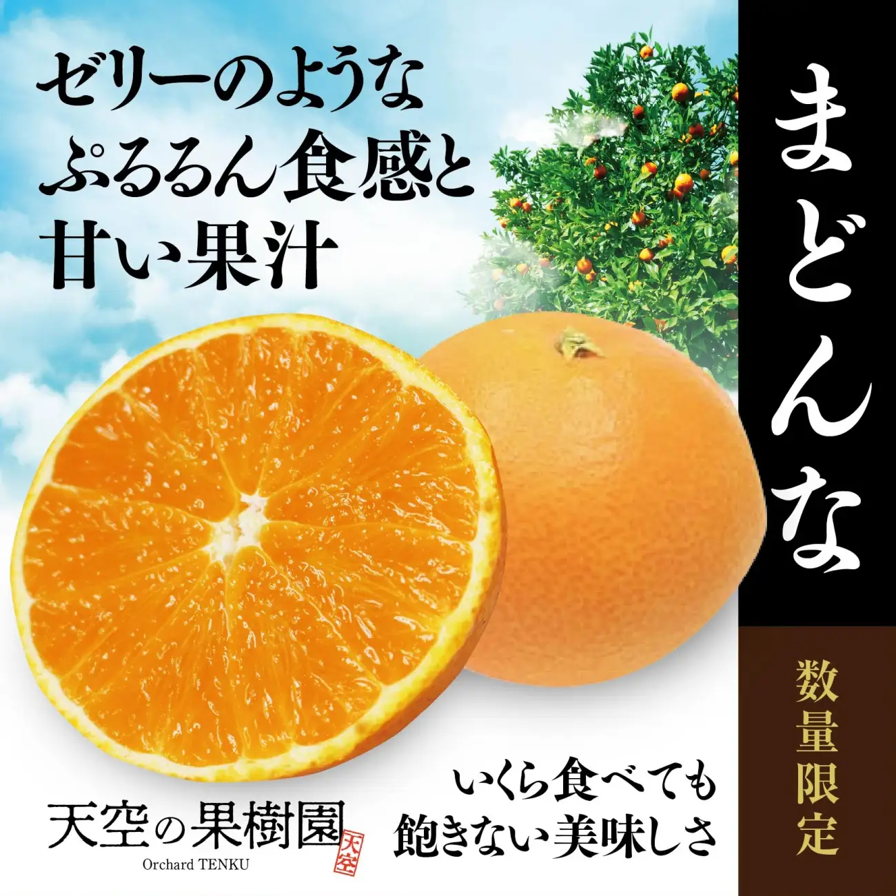 【先行受付】天空の果樹園から届く そらまどんな(3.5kg)【95-20】【1757716】YWTAQ012