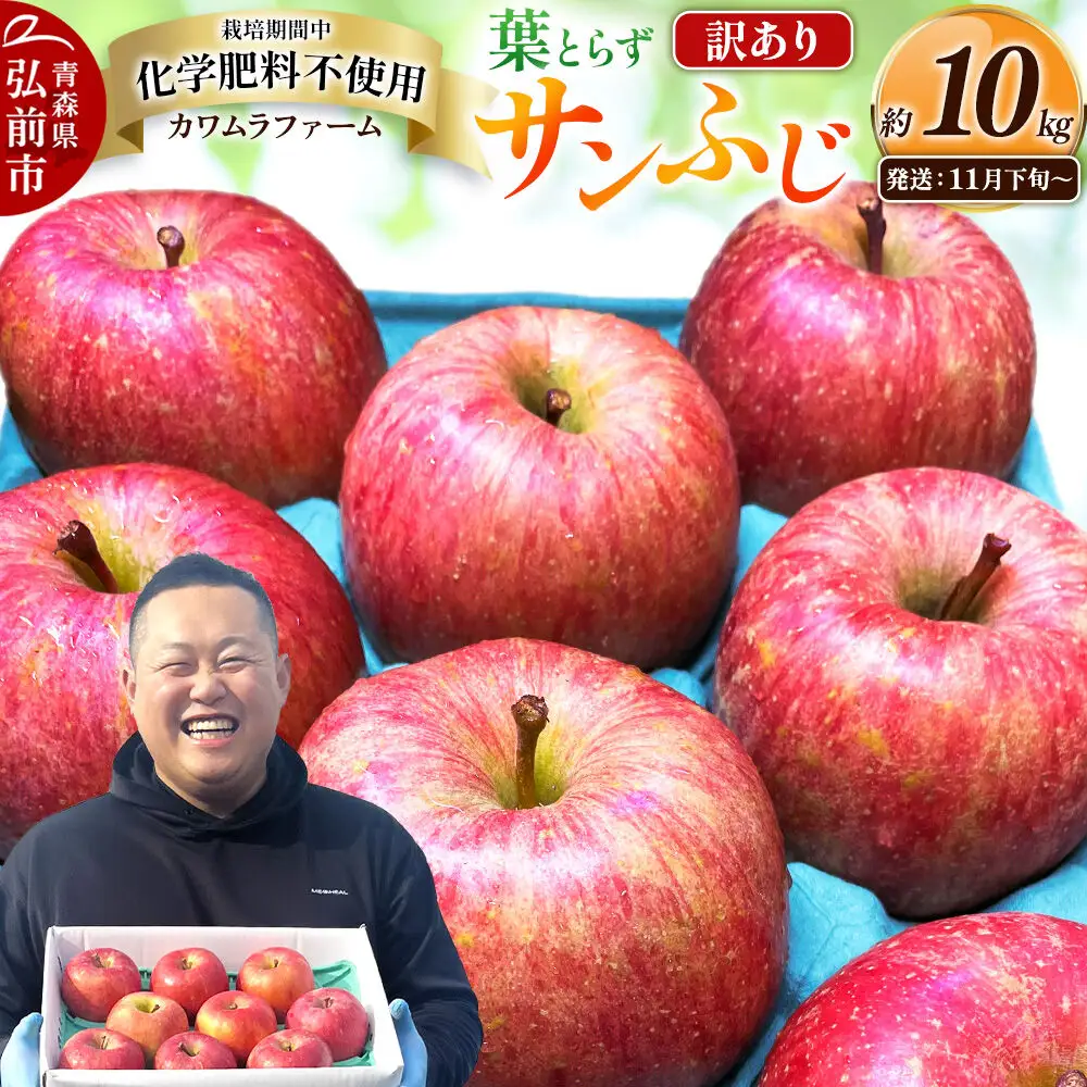 りんご 葉とらず サンふじ 訳あり 約10kg【11月下旬～発送】りんご