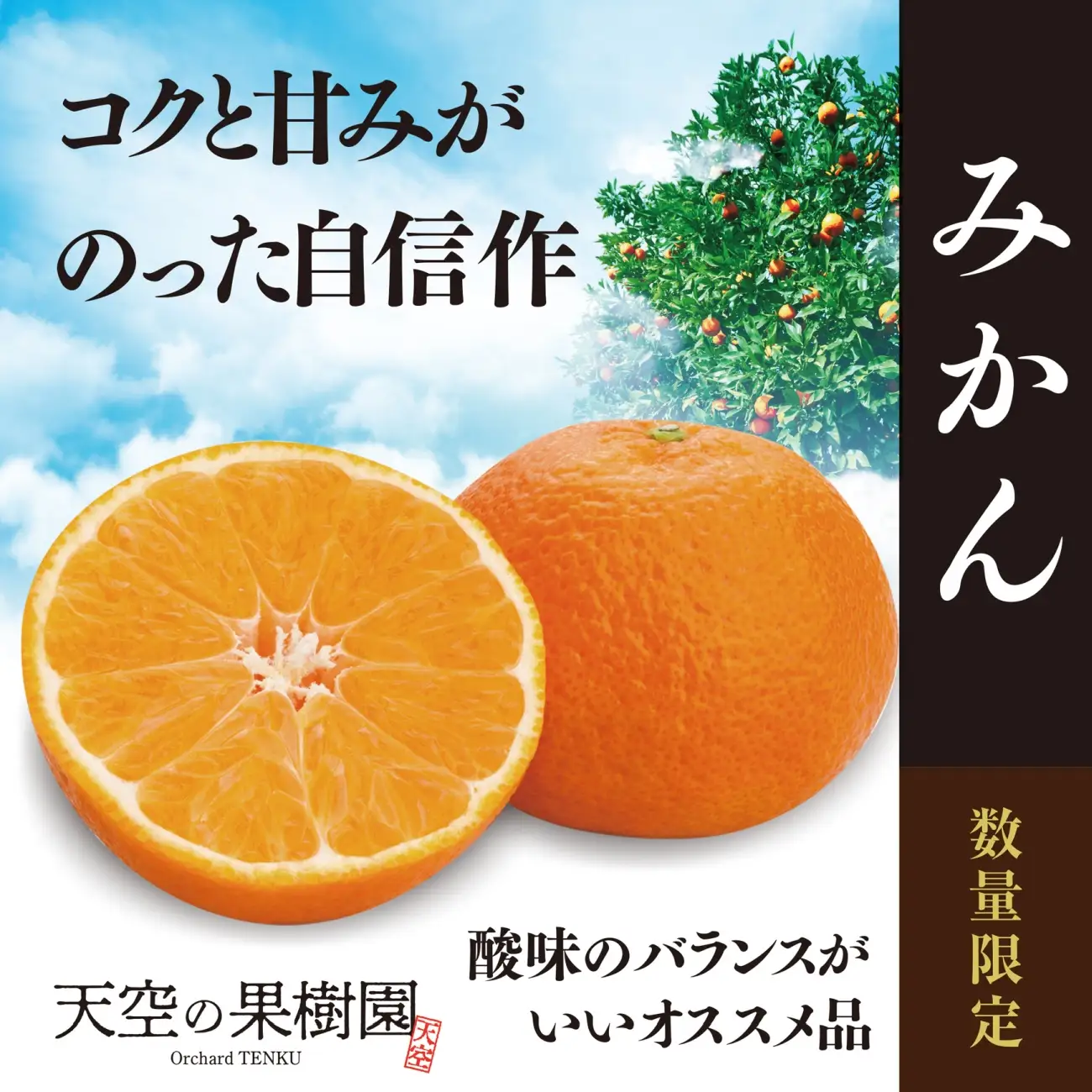 【先行受付】天空の果樹園から届くそらみかん (5.5kg)【95-17】【1758584】YWTAQ016