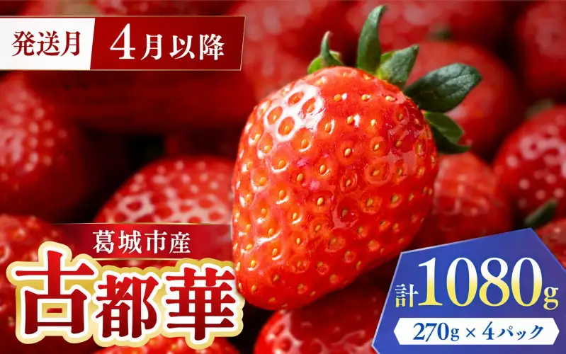 古都華 葛城市産古都華4パック 1月~3月発送【ichi0002】