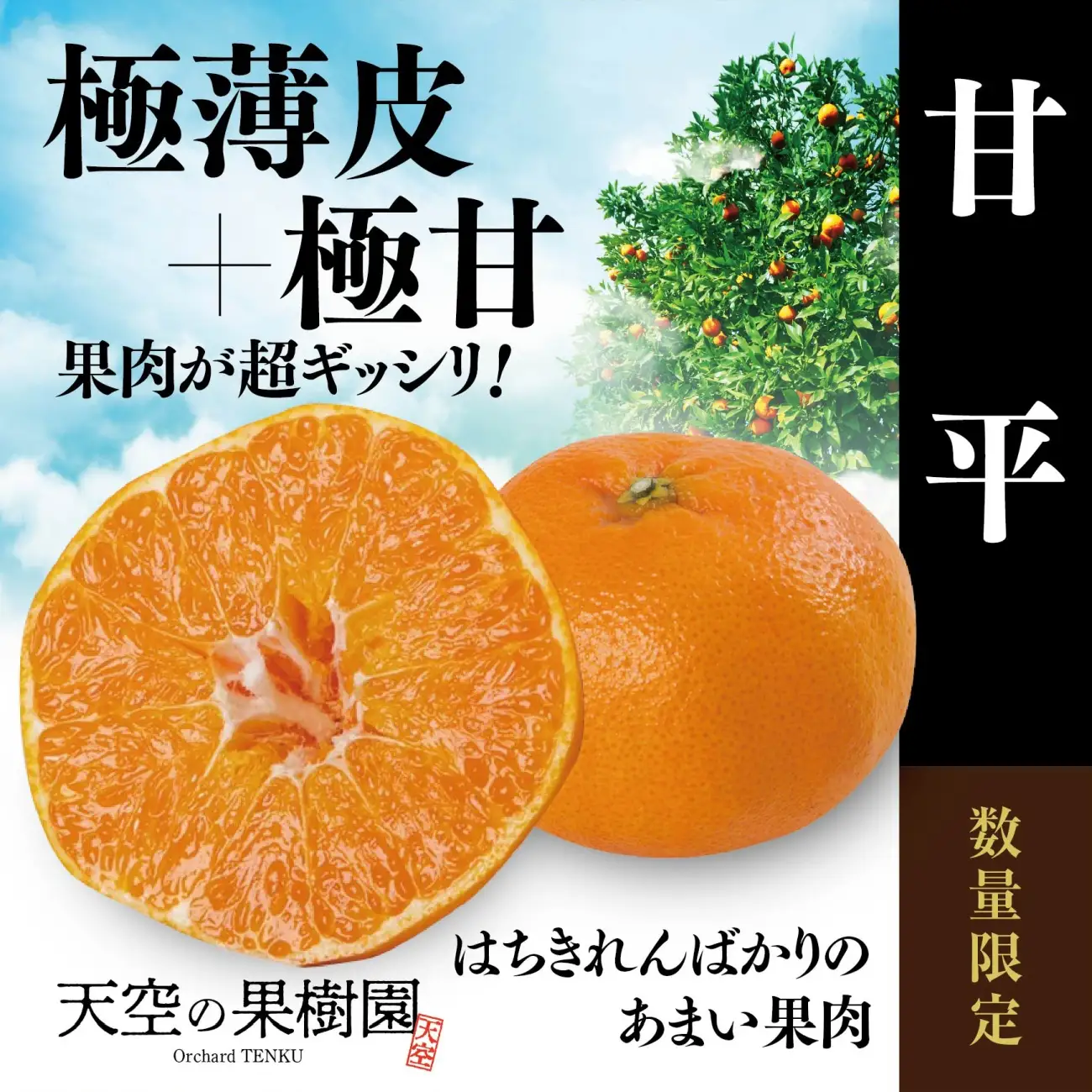 【先行受付】天空の果樹園から届く そら甘平 (3.5kg)【95-16】【1757733】YWTAQ020