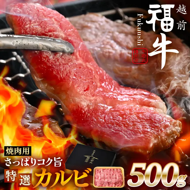 希少 越前福牛 特選カルビ 焼肉用 500g 牛肉 国産和牛 カルビ 冷凍 贈答 ギフト [B-1806] 