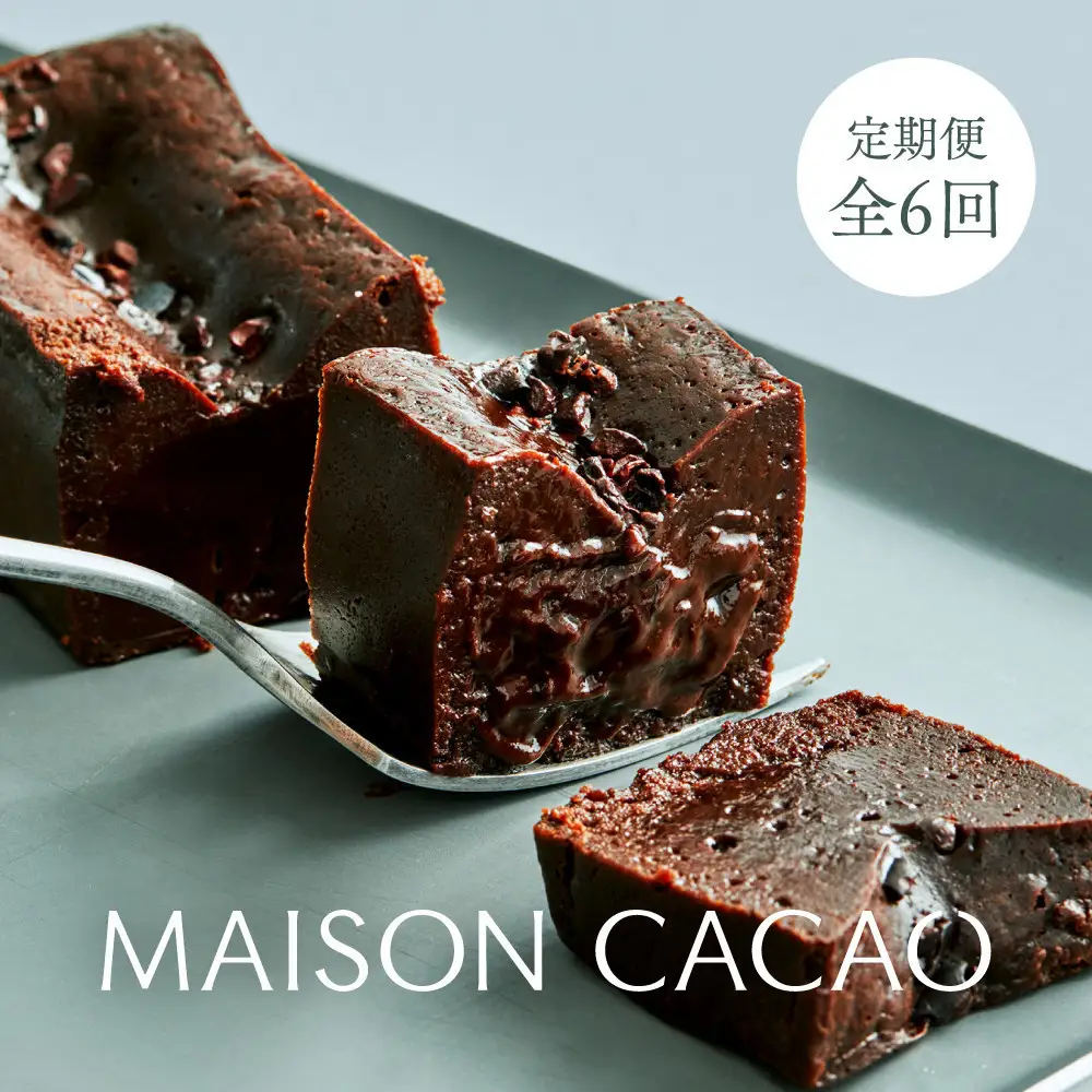 【定期便 全6回】メゾンカカオ 濃厚生ガトーショコラ  驚きの口どけ 300g 冷凍